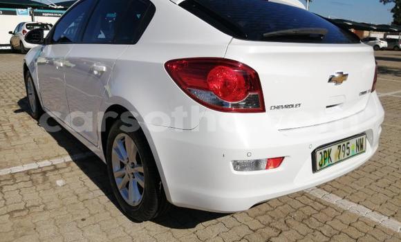 Buy Used Chevrolet Cruze White Car in Maseru in Maseru Buy Used Chevrolet Cruze White Car in Maseru in Maseru