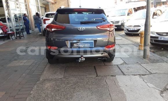 اشتري مستعمل Hyundai Tucson Silver سيارة في Maseru في Maseru اشتري مستعمل Hyundai Tucson Silver سيارة في Maseru في Maseru