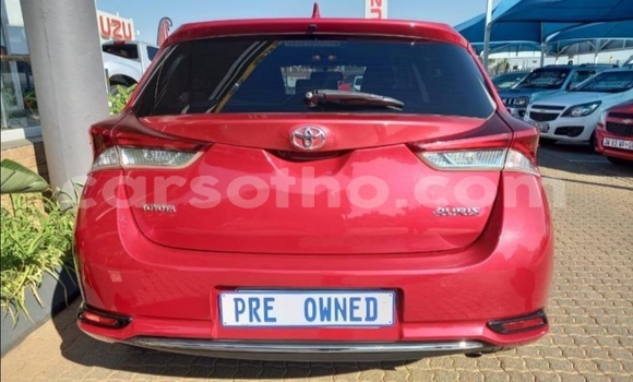 اشتري مستعمل Toyota Auris Red سيارة في Maseru في Maseru اشتري مستعمل Toyota Auris Red سيارة في Maseru في Maseru