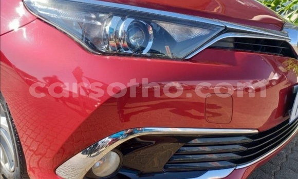 اشتري مستعمل Toyota Auris Red سيارة في Maseru في Maseru اشتري مستعمل Toyota Auris Red سيارة في Maseru في Maseru