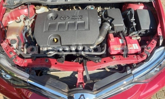 اشتري مستعمل Toyota Auris Red سيارة في Maseru في Maseru اشتري مستعمل Toyota Auris Red سيارة في Maseru في Maseru