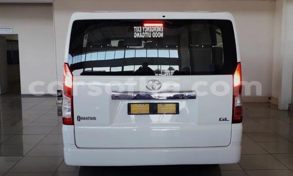 Acheter Occasion Voiture Toyota Hiace Blanc à Maputsoa, Leribe Acheter Occasion Voiture Toyota Hiace Blanc à Maputsoa, Leribe