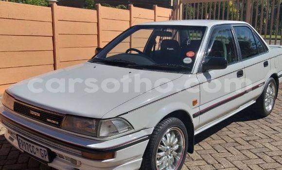 Buy Used Toyota Corolla White Car in Maseru in Maseru Buy Used Toyota Corolla White Car in Maseru in Maseru