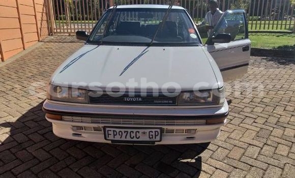 Buy Used Toyota Corolla White Car in Maseru in Maseru Buy Used Toyota Corolla White Car in Maseru in Maseru