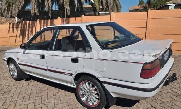 Buy Used Toyota Corolla White Car in Maseru in Maseru Buy Used Toyota Corolla White Car in Maseru in Maseru