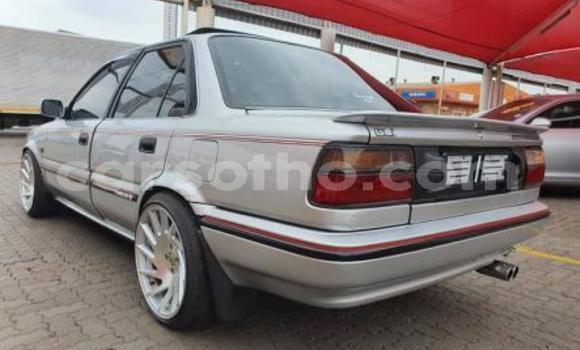 Sayi Na hannu Toyota Corolla Silver Mota in Maputsoe a Leribe Sayi Na hannu Toyota Corolla Silver Mota in Maputsoe a Leribe