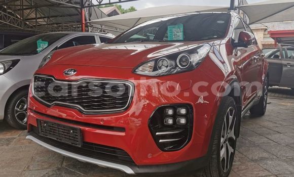 اشتري مستعمل Kia Sportage Other سيارة في Maseru في Maseru اشتري مستعمل Kia Sportage Other سيارة في Maseru في Maseru