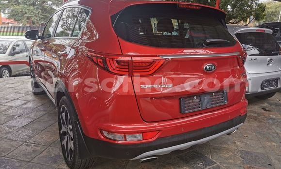 اشتري مستعمل Kia Sportage Other سيارة في Maseru في Maseru اشتري مستعمل Kia Sportage Other سيارة في Maseru في Maseru