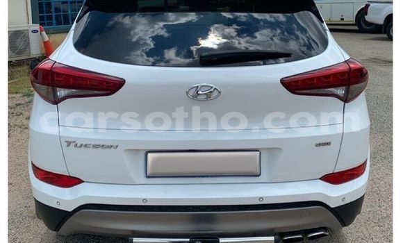 اشتري مستعمل Hyundai Tucson White سيارة في Maseru في Maseru اشتري مستعمل Hyundai Tucson White سيارة في Maseru في Maseru