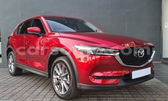 اشتري مستعمل Volkswagen Polo Other سيارة في Maseru في Maseru اشتري مستعمل Volkswagen Polo Other سيارة في Maseru في Maseru