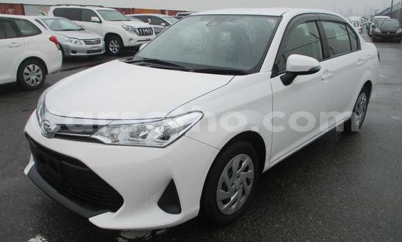 اشتري مستعمل Volkswagen Polo Other سيارة في Maseru في Maseru اشتري مستعمل Volkswagen Polo Other سيارة في Maseru في Maseru