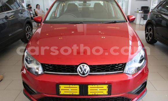 اشتري مستعمل Volkswagen Polo Red سيارة في Maseru في Maseru اشتري مستعمل Volkswagen Polo Red سيارة في Maseru في Maseru