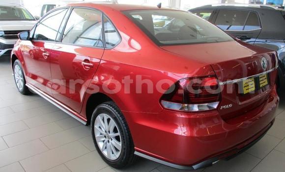 اشتري مستعمل Volkswagen Polo Red سيارة في Maseru في Maseru اشتري مستعمل Volkswagen Polo Red سيارة في Maseru في Maseru