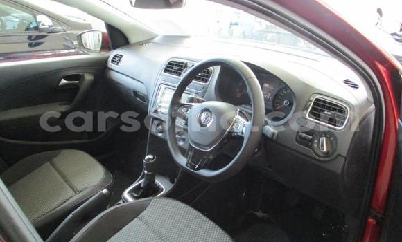 اشتري مستعمل Volkswagen Polo Red سيارة في Maseru في Maseru اشتري مستعمل Volkswagen Polo Red سيارة في Maseru في Maseru