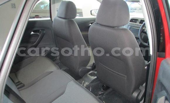 اشتري مستعمل Volkswagen Polo Red سيارة في Maseru في Maseru اشتري مستعمل Volkswagen Polo Red سيارة في Maseru في Maseru