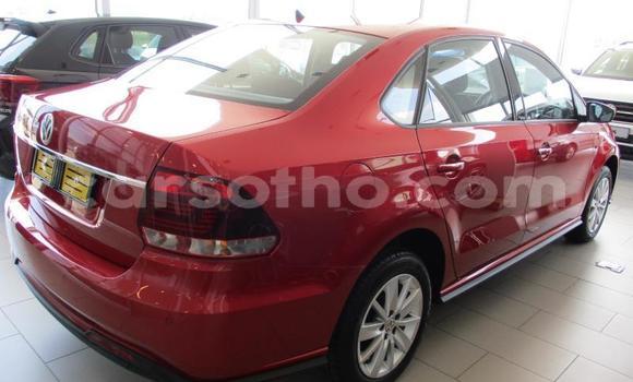 اشتري مستعمل Volkswagen Polo Red سيارة في Maseru في Maseru اشتري مستعمل Volkswagen Polo Red سيارة في Maseru في Maseru