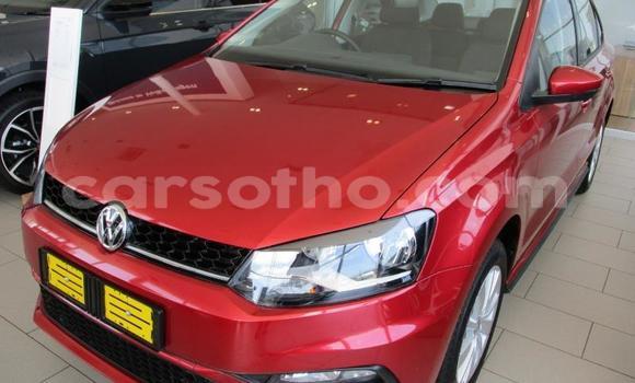 اشتري مستعمل Volkswagen Polo Red سيارة في Maseru في Maseru اشتري مستعمل Volkswagen Polo Red سيارة في Maseru في Maseru