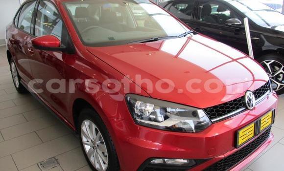 اشتري مستعمل Volkswagen Polo Red سيارة في Maseru في Maseru اشتري مستعمل Volkswagen Polo Red سيارة في Maseru في Maseru