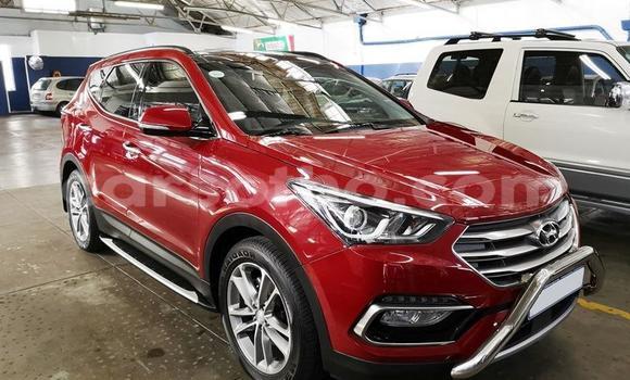اشتري مستعمل Hyundai Santa Fe Red سيارة في Mafeteng في Mafeteng اشتري مستعمل Hyundai Santa Fe Red سيارة في Mafeteng في Mafeteng