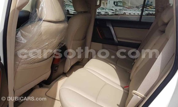Sayi Imported Toyota Prado White Mota in Import - Dubai a Maseru Sayi Imported Toyota Prado White Mota in Import - Dubai a Maseru