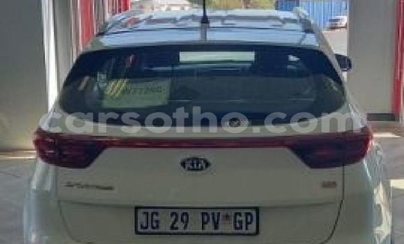 Buy Used Kia Sportage White Car in Maputsoe in Leribe Buy Used Kia Sportage White Car in Maputsoe in Leribe