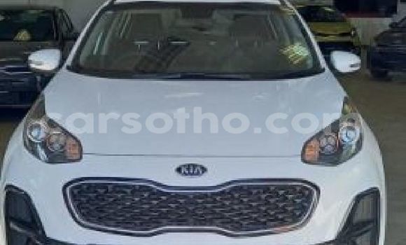 Buy Used Kia Sportage White Car in Maputsoe in Leribe Buy Used Kia Sportage White Car in Maputsoe in Leribe