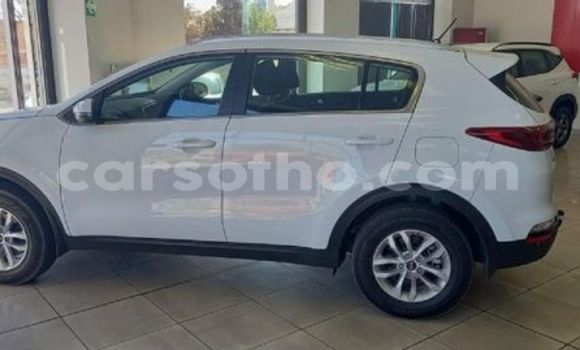 Buy Used Kia Sportage White Car in Maputsoe in Leribe Buy Used Kia Sportage White Car in Maputsoe in Leribe