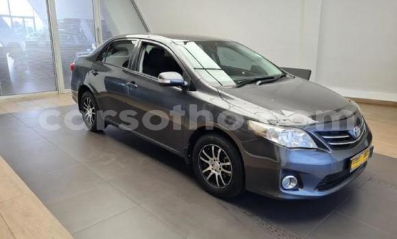 اشتري مستعمل Toyota Corolla Other سيارة في Maseru في Maseru اشتري مستعمل Toyota Corolla Other سيارة في Maseru في Maseru