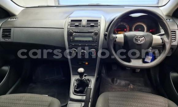 اشتري مستعمل Toyota Corolla Other سيارة في Maseru في Maseru اشتري مستعمل Toyota Corolla Other سيارة في Maseru في Maseru