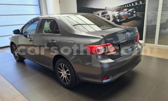 اشتري مستعمل Toyota Corolla Other سيارة في Maseru في Maseru اشتري مستعمل Toyota Corolla Other سيارة في Maseru في Maseru