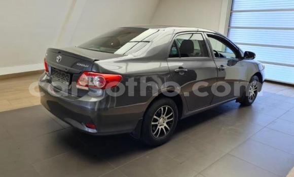 اشتري مستعمل Toyota Corolla Other سيارة في Maseru في Maseru اشتري مستعمل Toyota Corolla Other سيارة في Maseru في Maseru