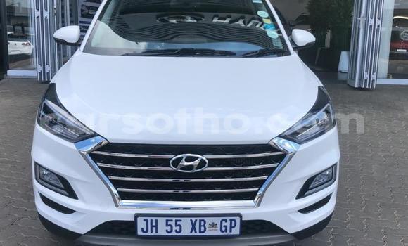 اشتري مستعمل Hyundai Tucson White سيارة في Maputsoa في Leribe اشتري مستعمل Hyundai Tucson White سيارة في Maputsoa في Leribe
