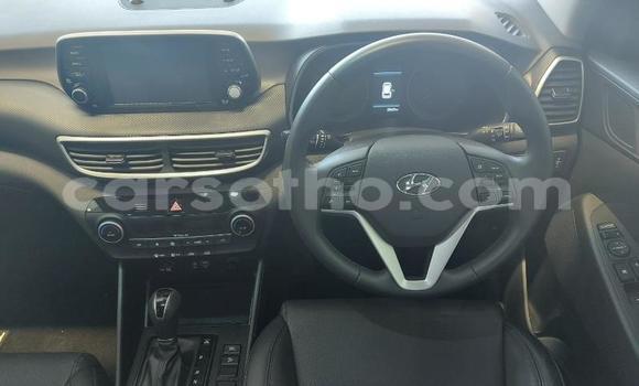 اشتري مستعمل Hyundai Tucson White سيارة في Maputsoa في Leribe اشتري مستعمل Hyundai Tucson White سيارة في Maputsoa في Leribe