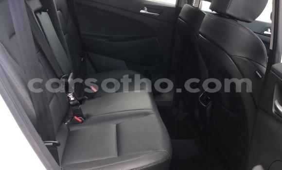 اشتري مستعمل Hyundai Tucson White سيارة في Maputsoa في Leribe اشتري مستعمل Hyundai Tucson White سيارة في Maputsoa في Leribe