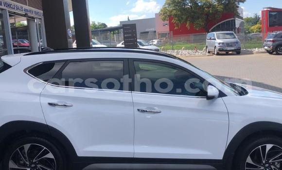 اشتري مستعمل Hyundai Tucson White سيارة في Maputsoa في Leribe اشتري مستعمل Hyundai Tucson White سيارة في Maputsoa في Leribe