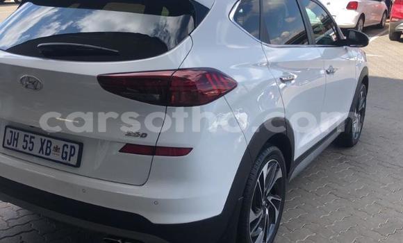 اشتري مستعمل Hyundai Tucson White سيارة في Maputsoa في Leribe اشتري مستعمل Hyundai Tucson White سيارة في Maputsoa في Leribe
