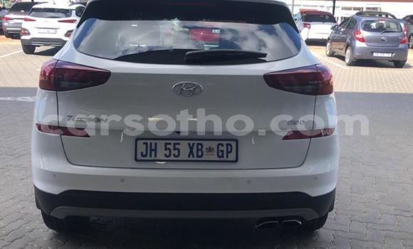 اشتري مستعمل Hyundai Tucson White سيارة في Maputsoa في Leribe اشتري مستعمل Hyundai Tucson White سيارة في Maputsoa في Leribe