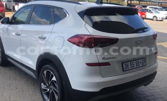 اشتري مستعمل Hyundai Tucson White سيارة في Maputsoa في Leribe اشتري مستعمل Hyundai Tucson White سيارة في Maputsoa في Leribe