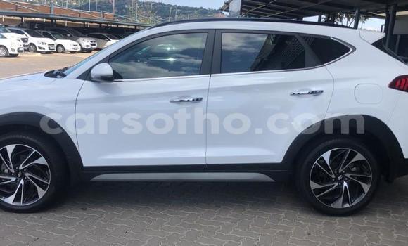 اشتري مستعمل Hyundai Tucson White سيارة في Maputsoa في Leribe اشتري مستعمل Hyundai Tucson White سيارة في Maputsoa في Leribe
