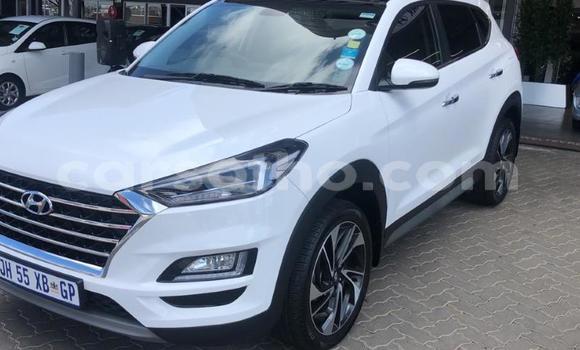 اشتري مستعمل Hyundai Tucson White سيارة في Maputsoa في Leribe اشتري مستعمل Hyundai Tucson White سيارة في Maputsoa في Leribe
