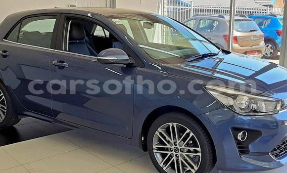 اشتري مستعمل Kia Rio Blue سيارة في Mafeteng في Mafeteng اشتري مستعمل Kia Rio Blue سيارة في Mafeteng في Mafeteng