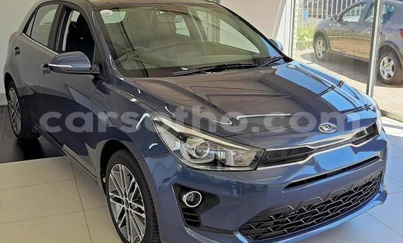 اشتري مستعمل Kia Rio Blue سيارة في Mafeteng في Mafeteng اشتري مستعمل Kia Rio Blue سيارة في Mafeteng في Mafeteng