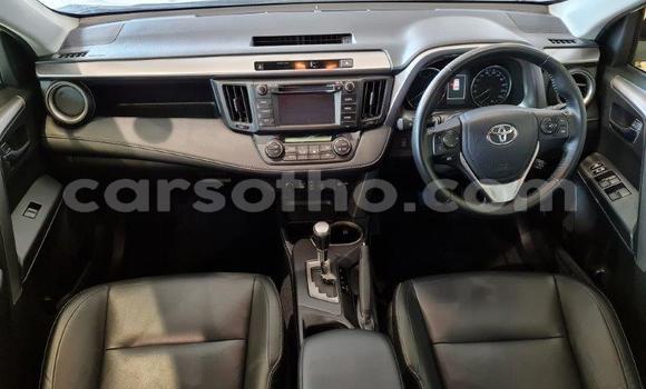 اشتري مستعمل Toyota RAV4 White سيارة في Maputsoe في Leribe اشتري مستعمل Toyota RAV4 White سيارة في Maputsoe في Leribe