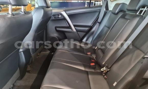 اشتري مستعمل Toyota RAV4 White سيارة في Maputsoe في Leribe اشتري مستعمل Toyota RAV4 White سيارة في Maputsoe في Leribe