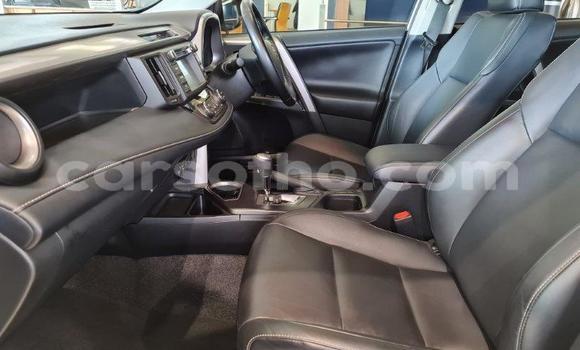 اشتري مستعمل Toyota RAV4 White سيارة في Maputsoe في Leribe اشتري مستعمل Toyota RAV4 White سيارة في Maputsoe في Leribe