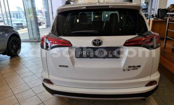اشتري مستعمل Toyota RAV4 White سيارة في Maputsoe في Leribe اشتري مستعمل Toyota RAV4 White سيارة في Maputsoe في Leribe