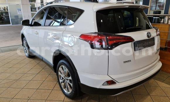 اشتري مستعمل Toyota RAV4 White سيارة في Maputsoe في Leribe اشتري مستعمل Toyota RAV4 White سيارة في Maputsoe في Leribe