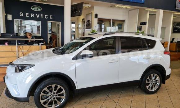 اشتري مستعمل Toyota RAV4 White سيارة في Maputsoe في Leribe اشتري مستعمل Toyota RAV4 White سيارة في Maputsoe في Leribe