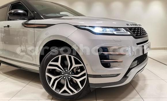 اشتري مستعمل Range Rover Evoque Silver سيارة في Maputsoa في Leribe اشتري مستعمل Range Rover Evoque Silver سيارة في Maputsoa في Leribe