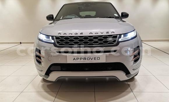 اشتري مستعمل Range Rover Evoque Silver سيارة في Maputsoa في Leribe اشتري مستعمل Range Rover Evoque Silver سيارة في Maputsoa في Leribe